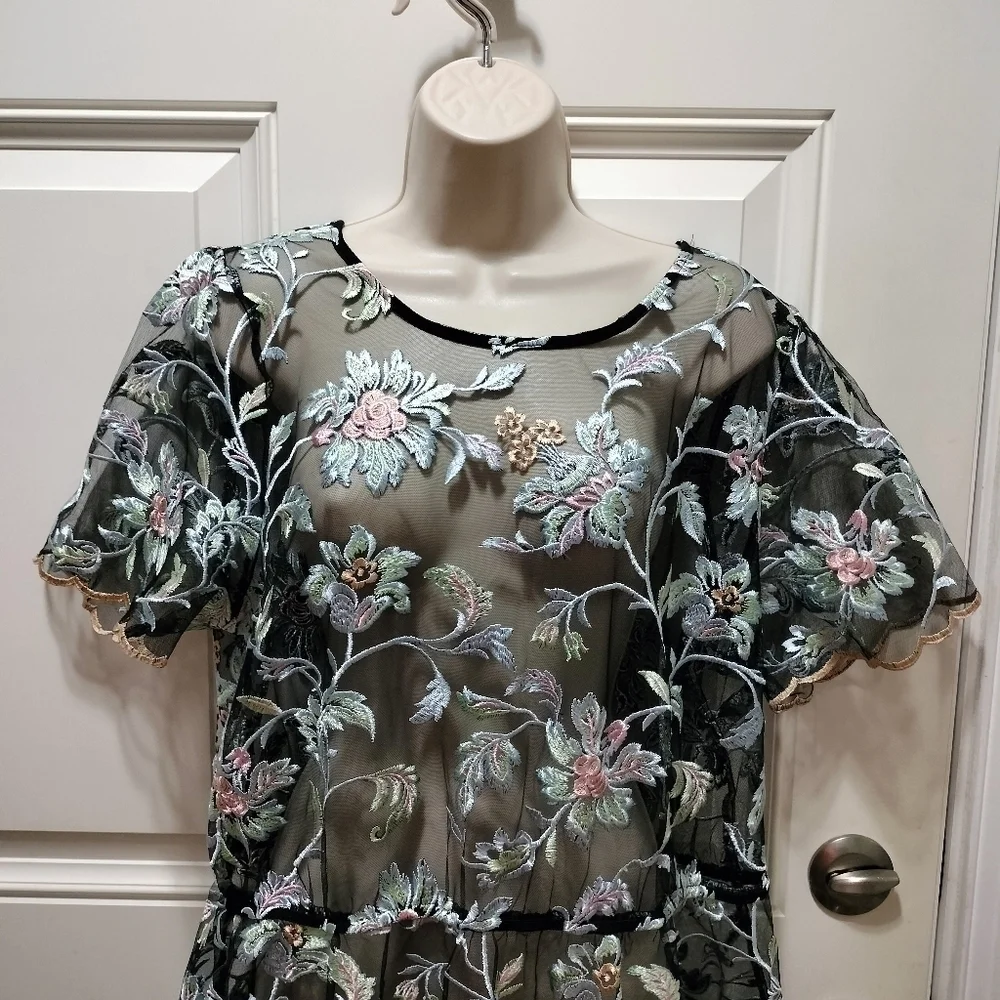 LuLaRoe Deanne II Sheer Embroidered Floral Maxi Dress Black Pink Blue 2XL Plus - Picture 4 of 10